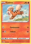 19 - Caninos