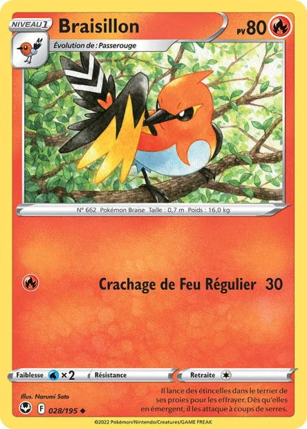 28 - Braisillon