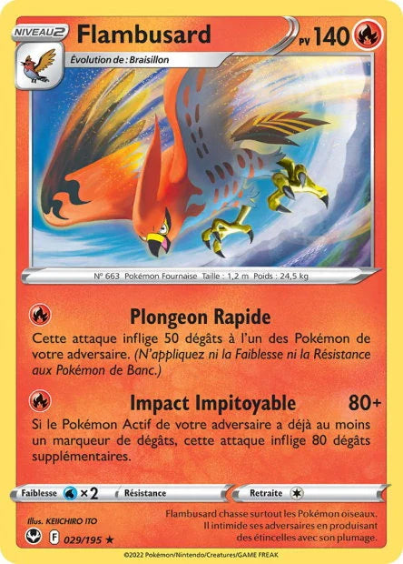29 - Flambusard