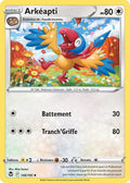 146 - Arkeapti