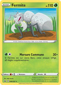 008 - Fermite - SSH