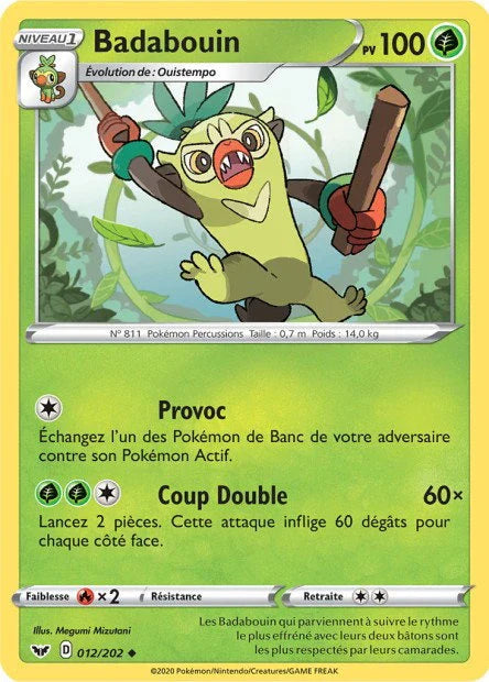 012 - Badabouin - SSH