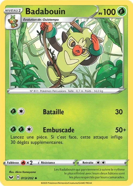 013 - Badabouin - SSH