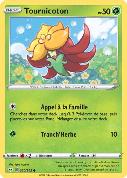 020 - Tournicoton - SSH