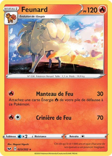 023 - Feunard - SSH
