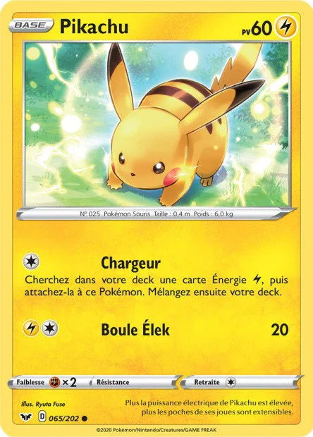065 - Pikachu - SSH