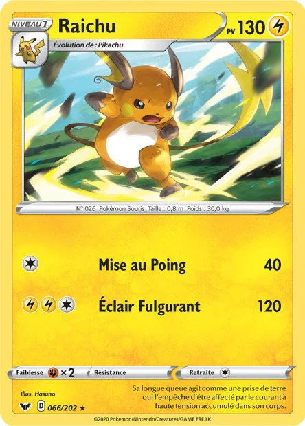 066 - Raichu - SSH