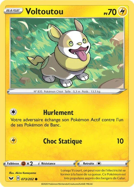 073 - Voltoutou - SSH