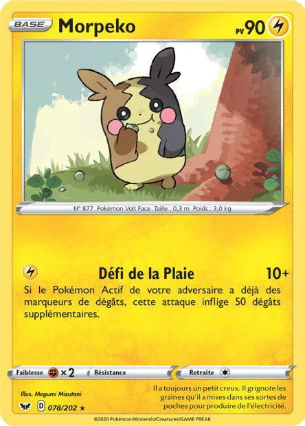 078 - Morpeko - SSH