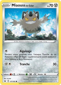 127 - Miaouss_de_Galar - SSH