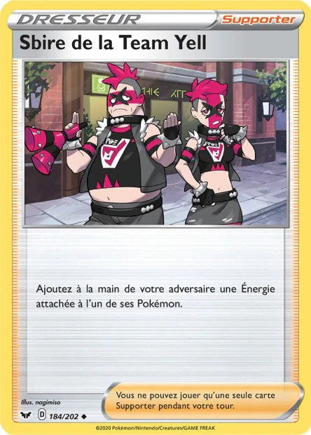 184 - Sbire_de_la_Team_Yell - SSH