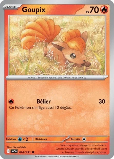 016 - Goupix