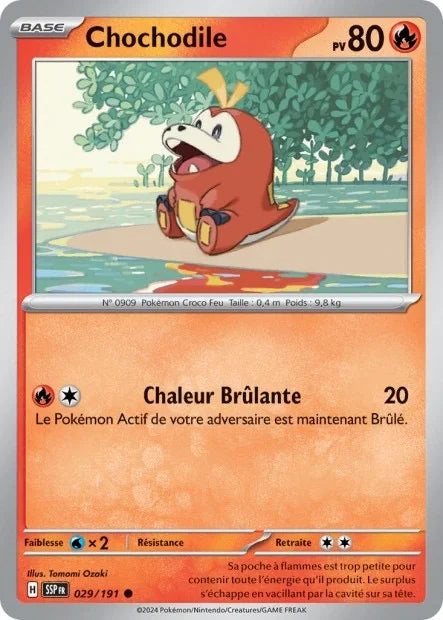 029 - Chochodile