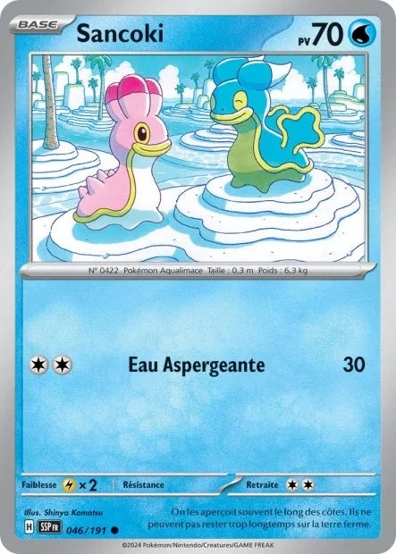 046 - Sancoki
