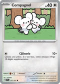 157 - Compagnol