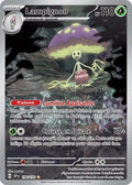 194 - Lampignon