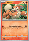 030 - Caninos