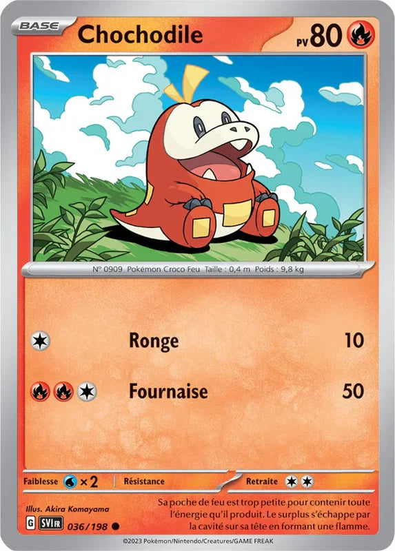 036 - Chochodile