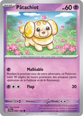 098 - Pâtachiot