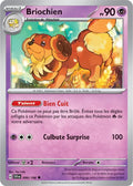 099 - Briochien