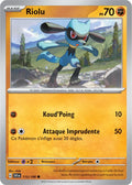 113 - Riolu