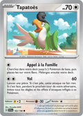 162 - Tapatoès