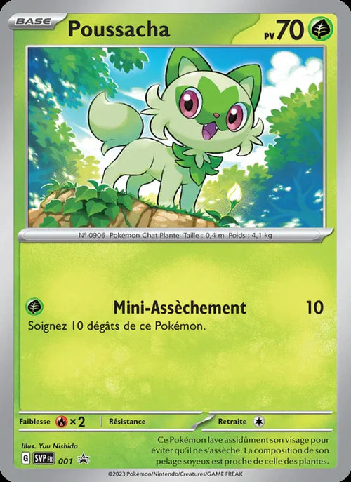 001 - Poussacha
