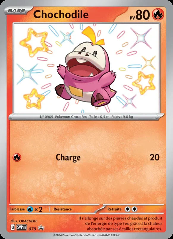079 - Chochodile