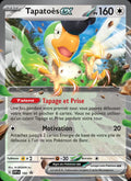160 - Tapatoès