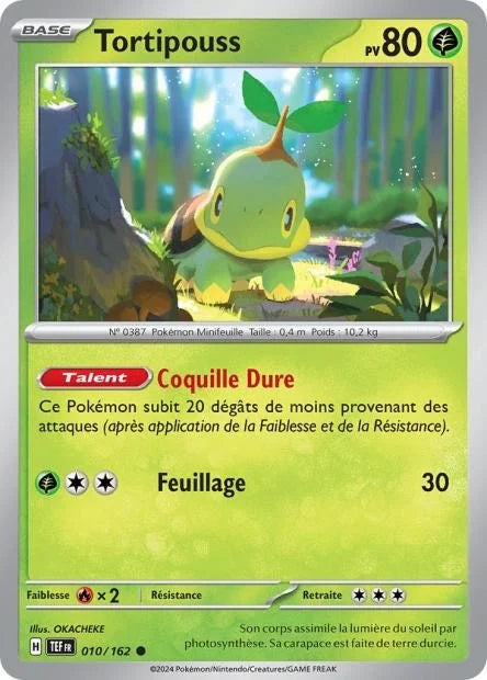 010 - Tortipouss