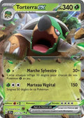 012 - Torterra