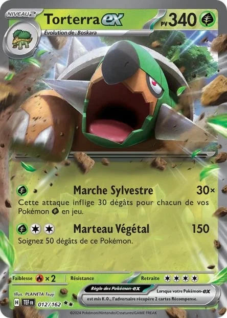 012 - Torterra