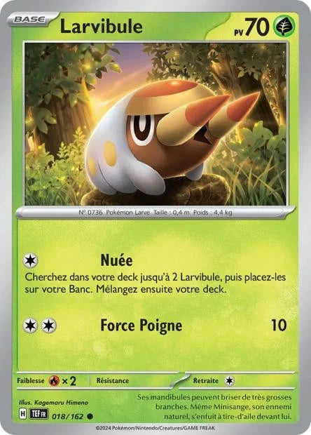 018 - Larvibule