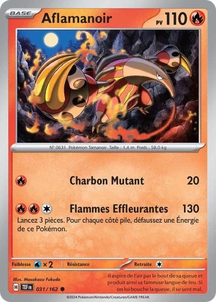 031 - Aflamanoir