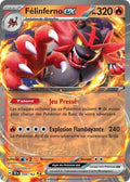 034 - Félinferno