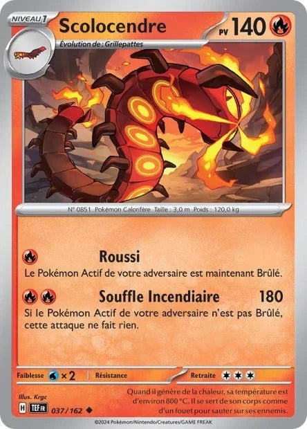 037 - Scolocendre