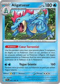 041 - Aligatueur