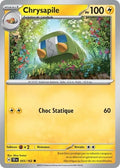 055 - Chrysapile