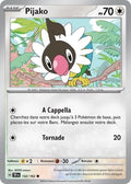 132 - Pijako