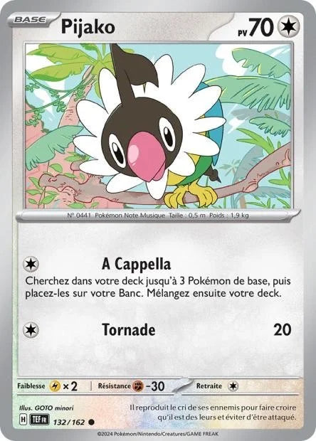 132 - Pijako
