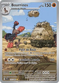 175 - Bourrinos