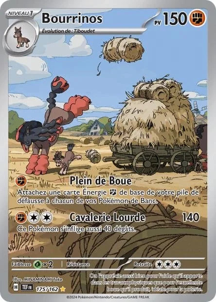 175 - Bourrinos