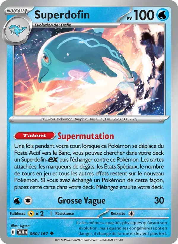 060 - Superdofin - TWM