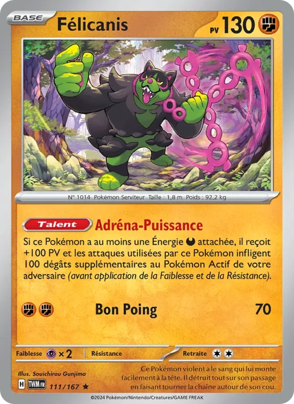 111 - Félicanis - TWM