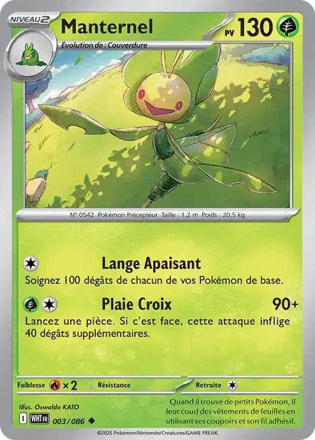 003 - Manternel