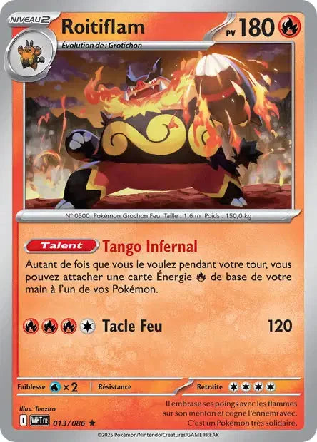 013 - Roitiflam