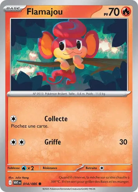 014 - Flamajou