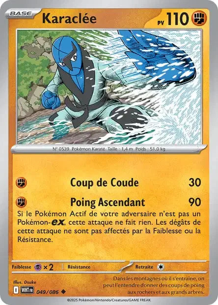 049 - Karaclée