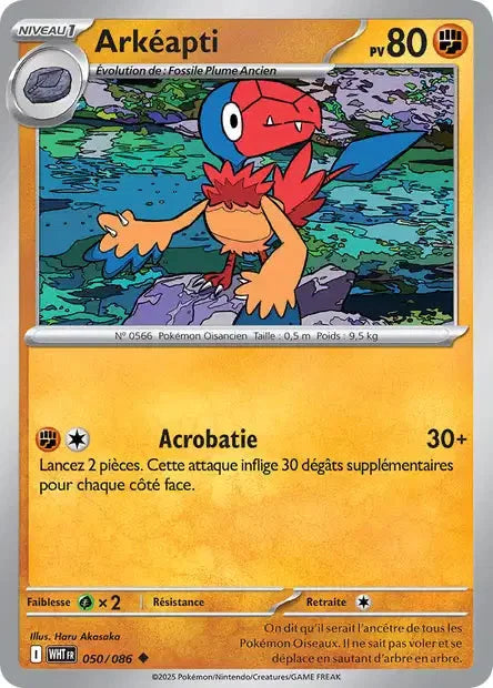 050 - Arkéapti