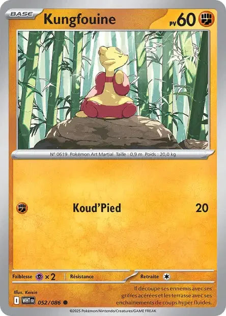 052 - Kungfouine